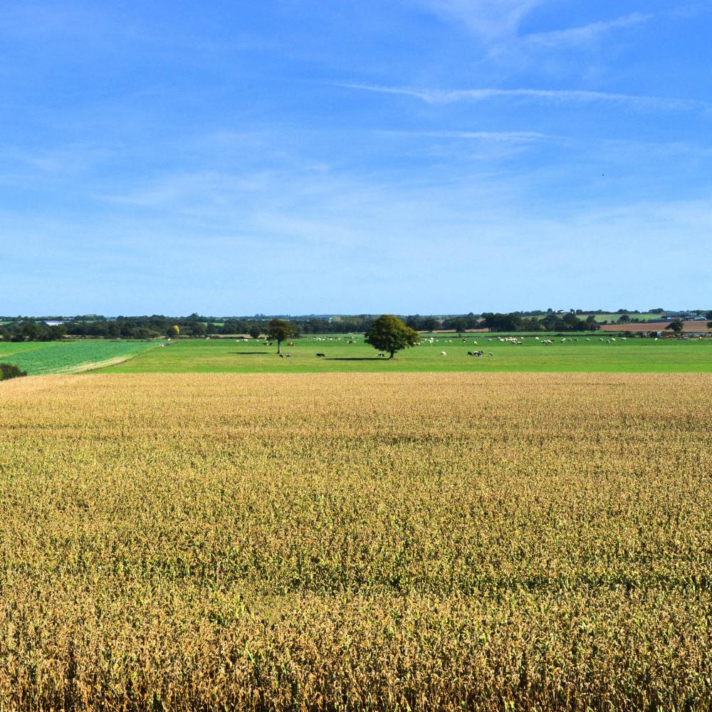 Moulin de la coutancière : Campagne environnante